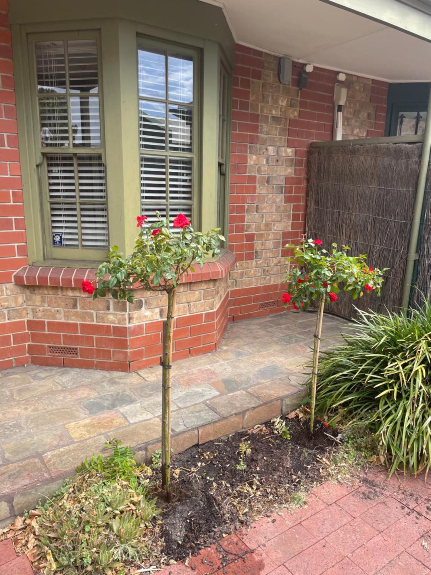 Adelaide Style Accommodation-Getaway In North Adelaide- Close To City Exterior photo